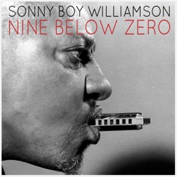 Nine Below Zero