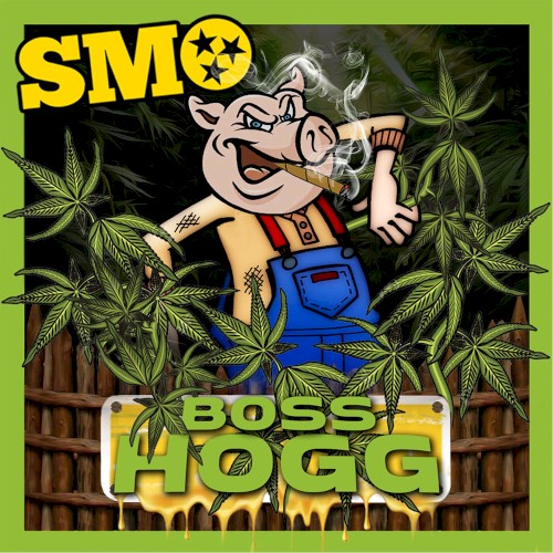 BOSS HOGG