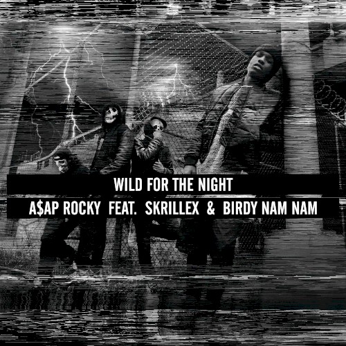 Wild for the Night