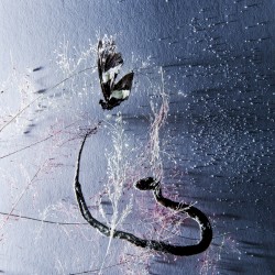 III