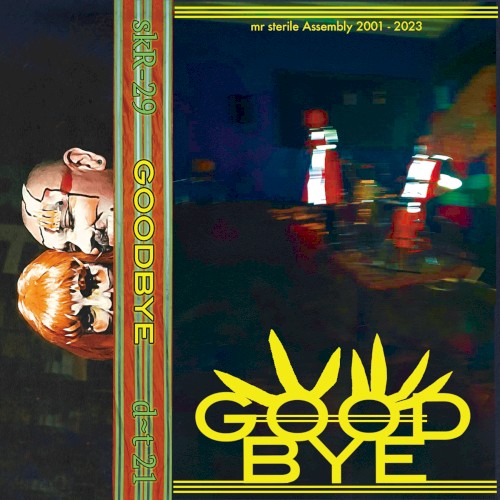 Goodbye