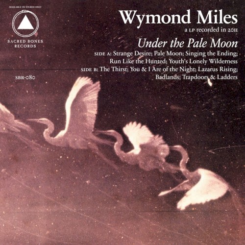 Under the Pale Moon