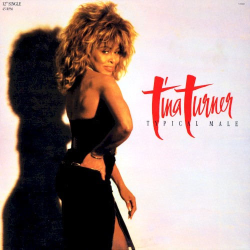 Typical Male (dance mix)