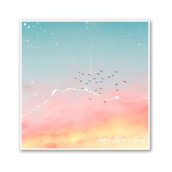 High Like a Bird