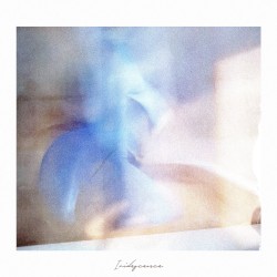 Iridescence