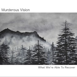 What We're Able to Recover
