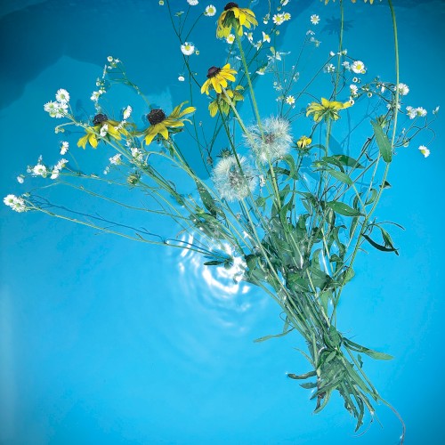A Boundless Undergrowth