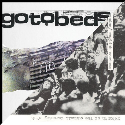 Honey Radar / The Gotobeds Split
