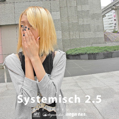 Systemisch 2.5