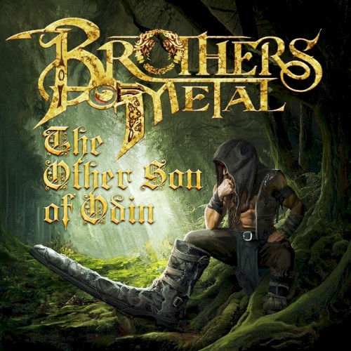 The Other Son of Odin
