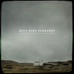 Schein matt / Hineingeträumt