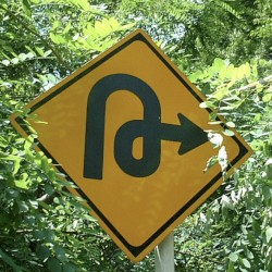 Indus Bonze Loop