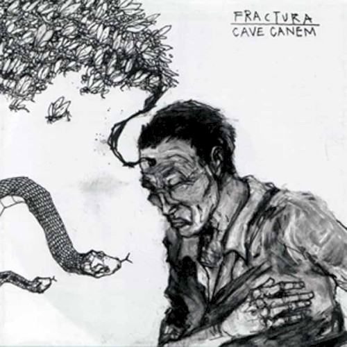 Fractura / Cave Canem