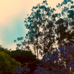 Eventide