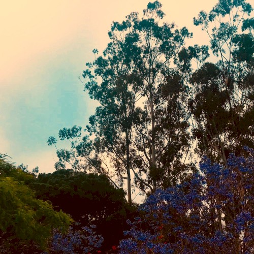 Eventide