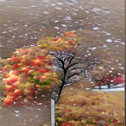 The Familiar Feeling of Seasons Changing