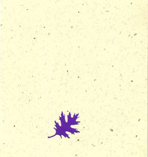 Liminology