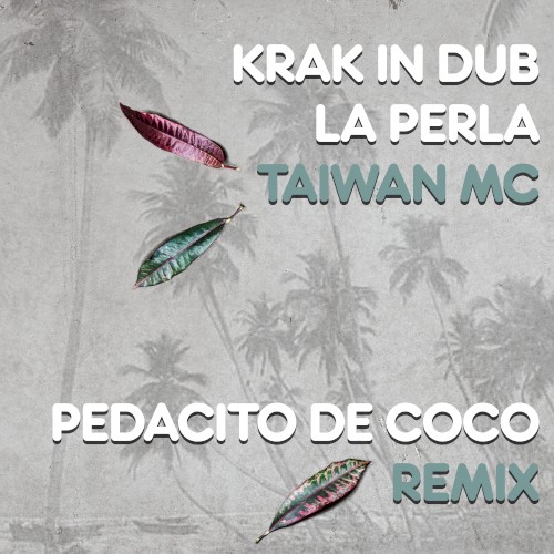 Pedacito De Coco (remix)