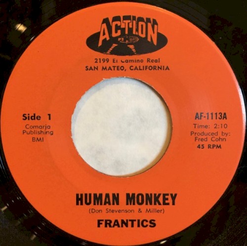 Human Monkey