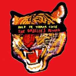 Hold Yr Terror Close (The Orielles Rework)