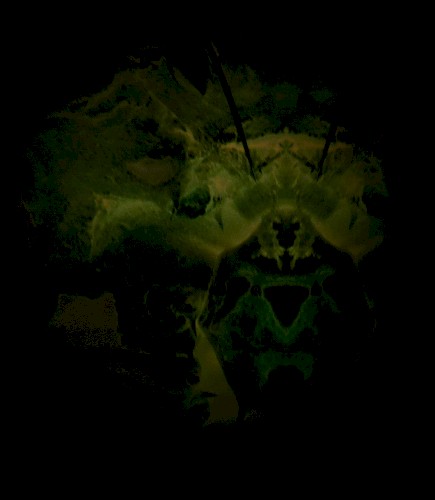 the watcher
