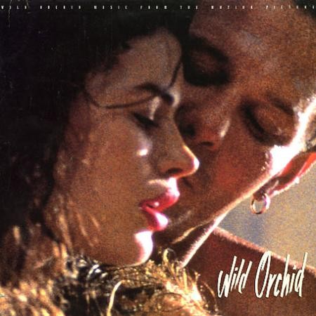 Wild Orchid