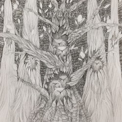 Light Owls