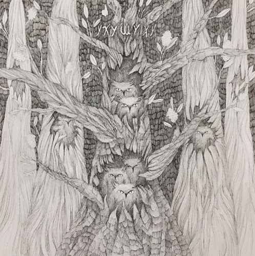 Light Owls