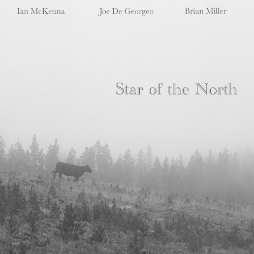 Star of the North
