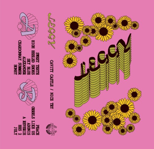 Cavity Castle / Nice Try EP