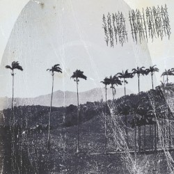 Remixes