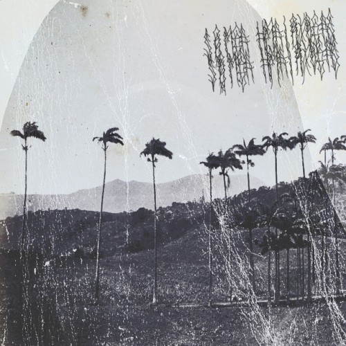 Remixes
