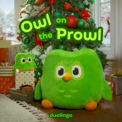 Owl on the Prowl