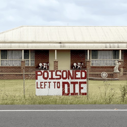 Life In Exile II