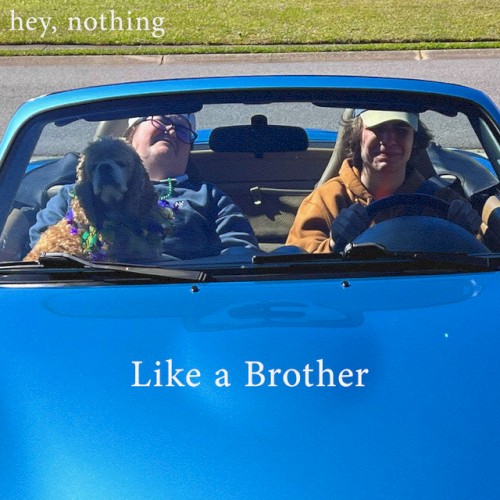 Like a Brother