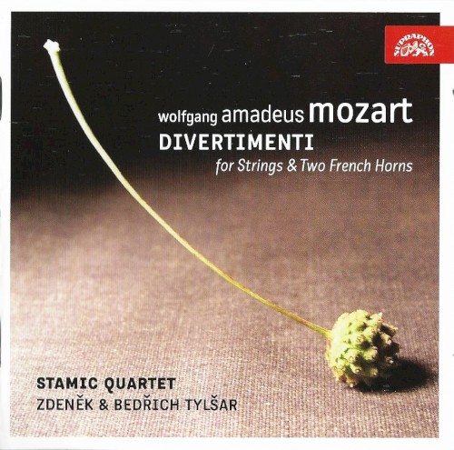 Divertimenti for Strings & Two French Horns