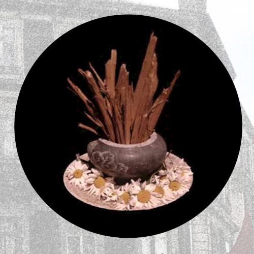 Moonlit Missive #119: 'Webs Among the Din'