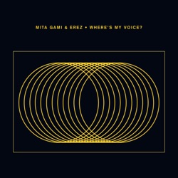 Where's My Voice?