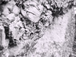 Tri‐Angles