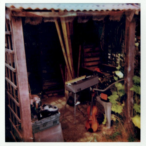 Allotment Tapes #9 - The Old Original Shed