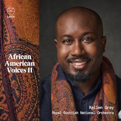 African American Voices II
