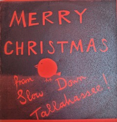 Merry Christmas From Slow Down Tallahassee!