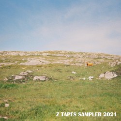 Sampler 2021