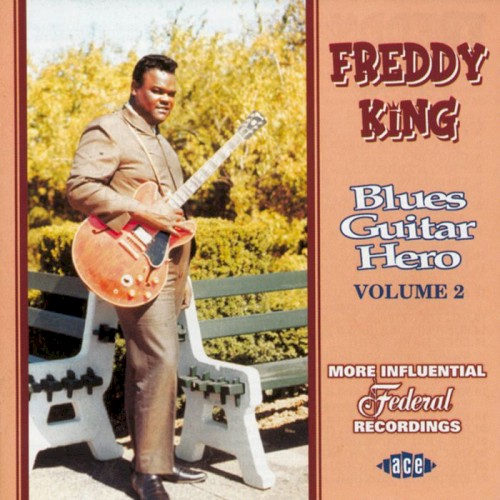 Blues Guitar Hero, Volume 2