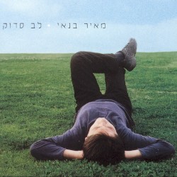 לב סדוק