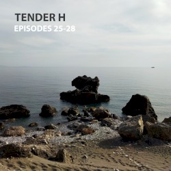 Episodes 25-28