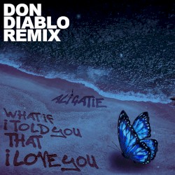 What If I Told You That I Love You (Don Diablo Remix)