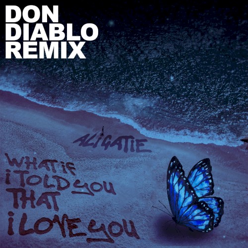 What If I Told You That I Love You (Don Diablo Remix)