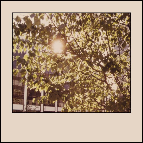 Easement IV