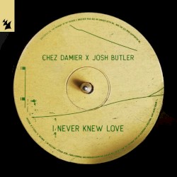 I Never Knew Love